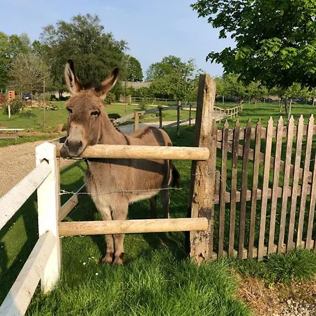 Casa de Férias La Petite étable Normandie à La Ferme *