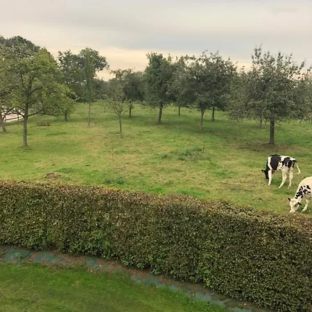 La Petite étable Normandie à La Ferme Casa de Férias Saint-Romain-de-Colbosc