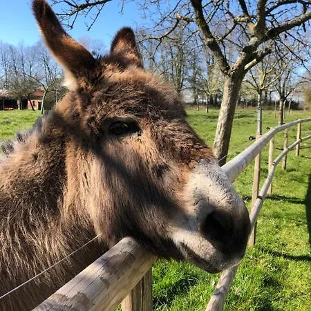 La Petite étable Normandie à La Ferme *